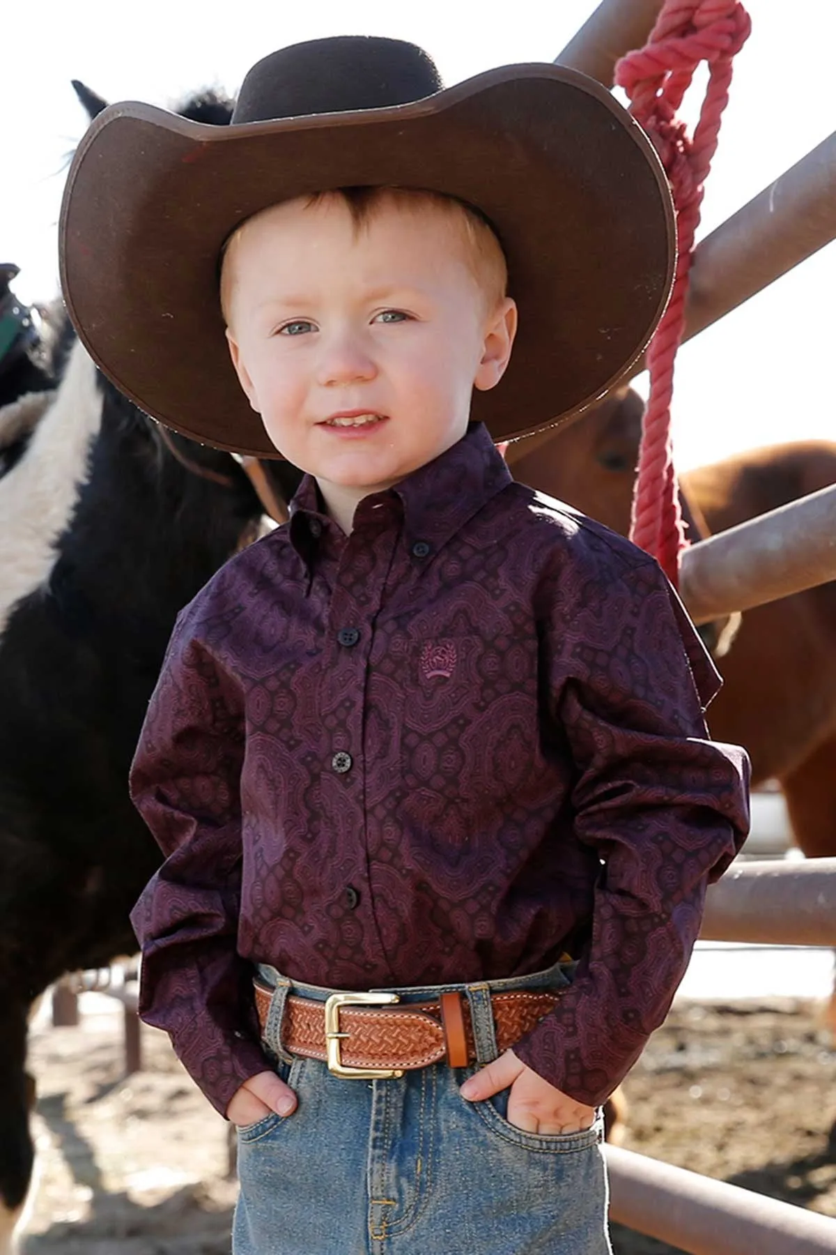 Cinch Boys Toddler Match Dad Paisley Button Down L/S Shirt - Purple - MTW7061299