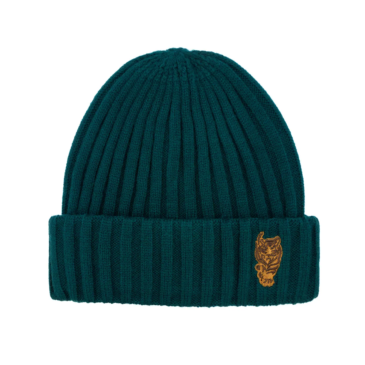 Gorro Cuff Beanie Verde Aldo Conti