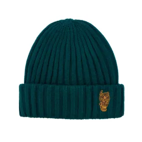 Gorro Cuff Beanie Verde Aldo Conti