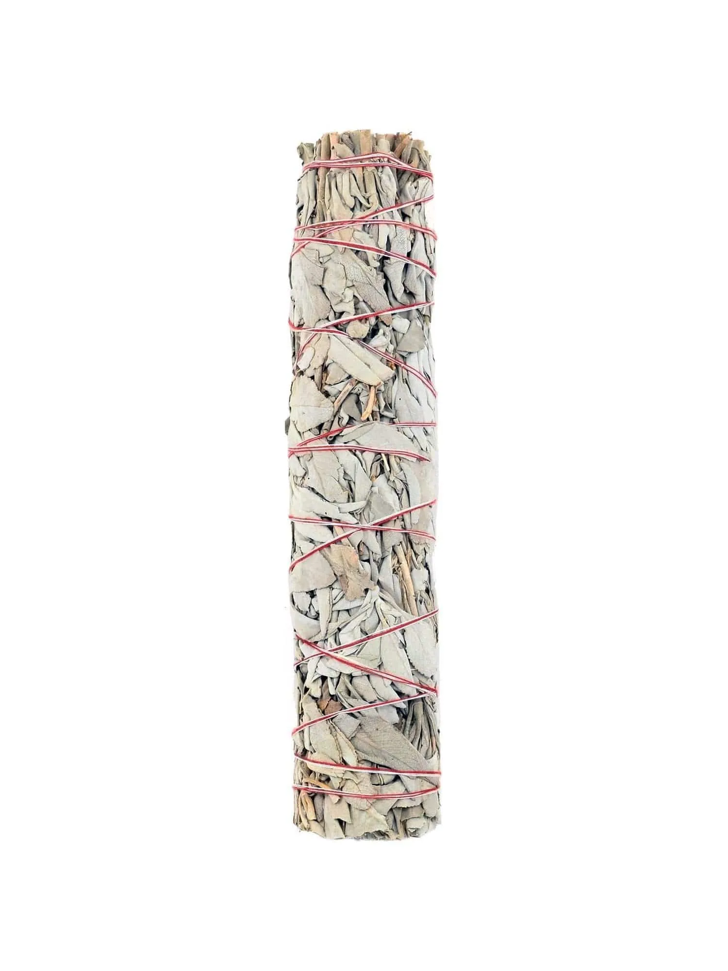 White Sage Farm Grown Smudge Sticks - Large